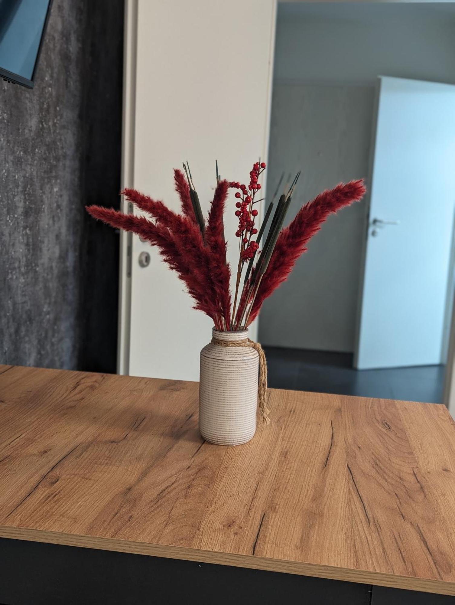 Apartment Am Stadtpark *