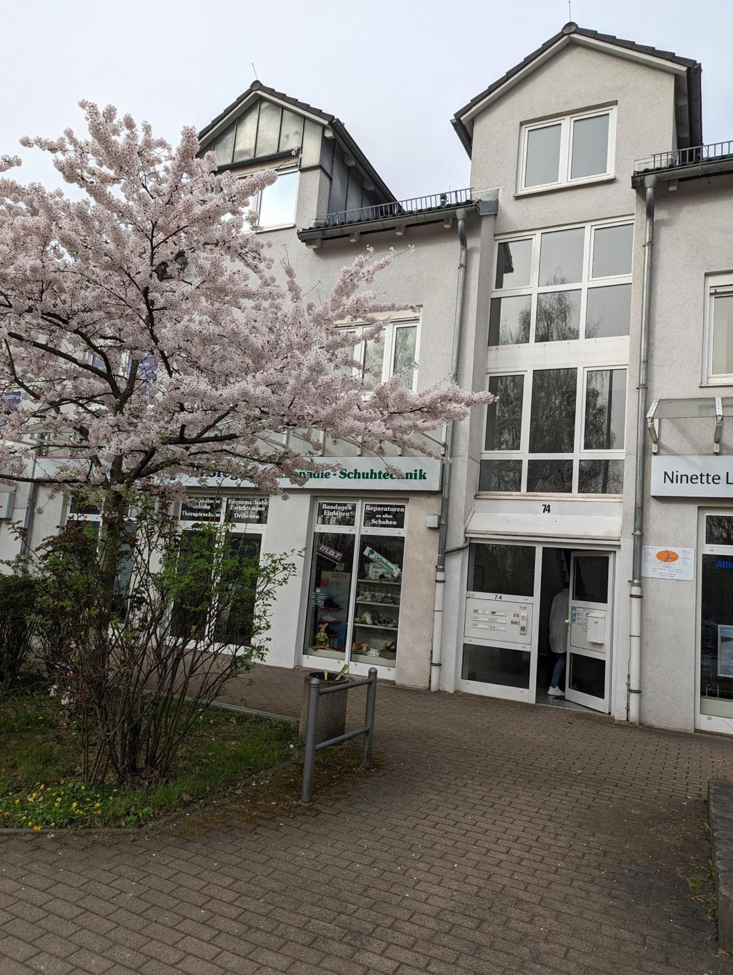 Am Stadtpark Appartement Chemnitz
